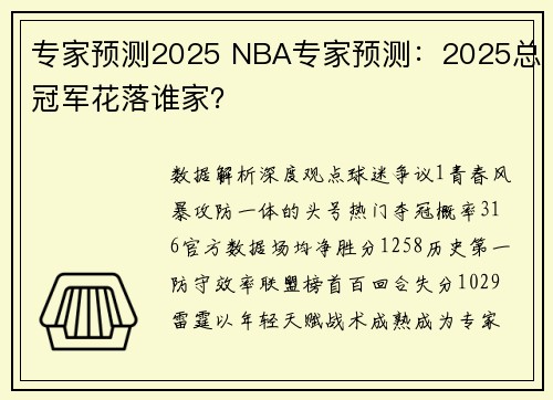 专家预测2025 NBA专家预测：2025总冠军花落谁家？